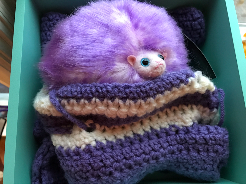 purple pygmy puff